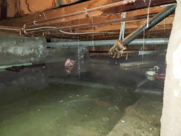 Best Residential water damage restoration  in Dillsburg, PA