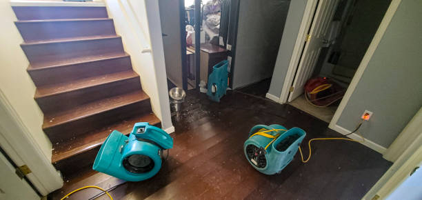 Best Flood damage cleanup  in Dillsburg, PA