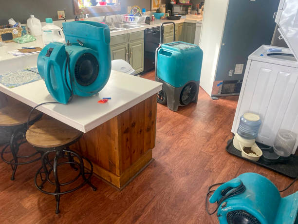 Best Carpet water damage restoration  in Dillsburg, PA