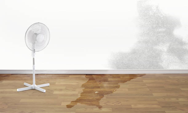 Best Flood damage cleanup  in Dillsburg, PA