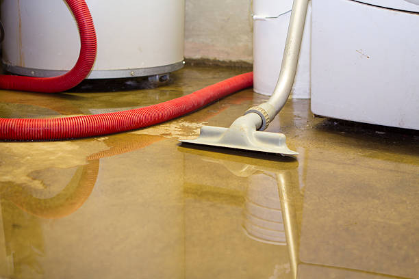 Best Commercial water damage restoration  in Dillsburg, PA