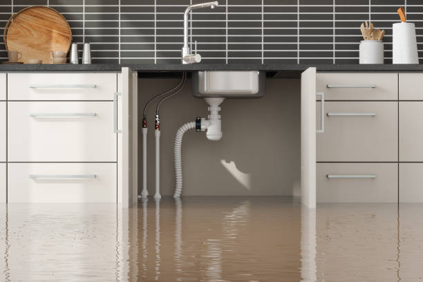 Best Sewage cleanup and water damage restoration  in Dillsburg, PA