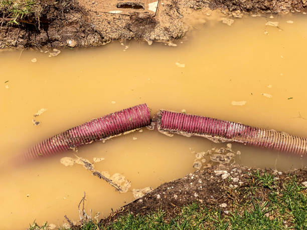 Best Basement water damage restoration  in Dillsburg, PA